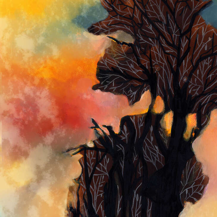 FEU LA FORÊT