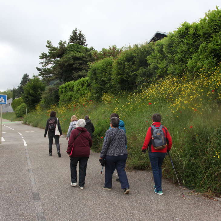 MOBILITÉ PIÉTONNE 